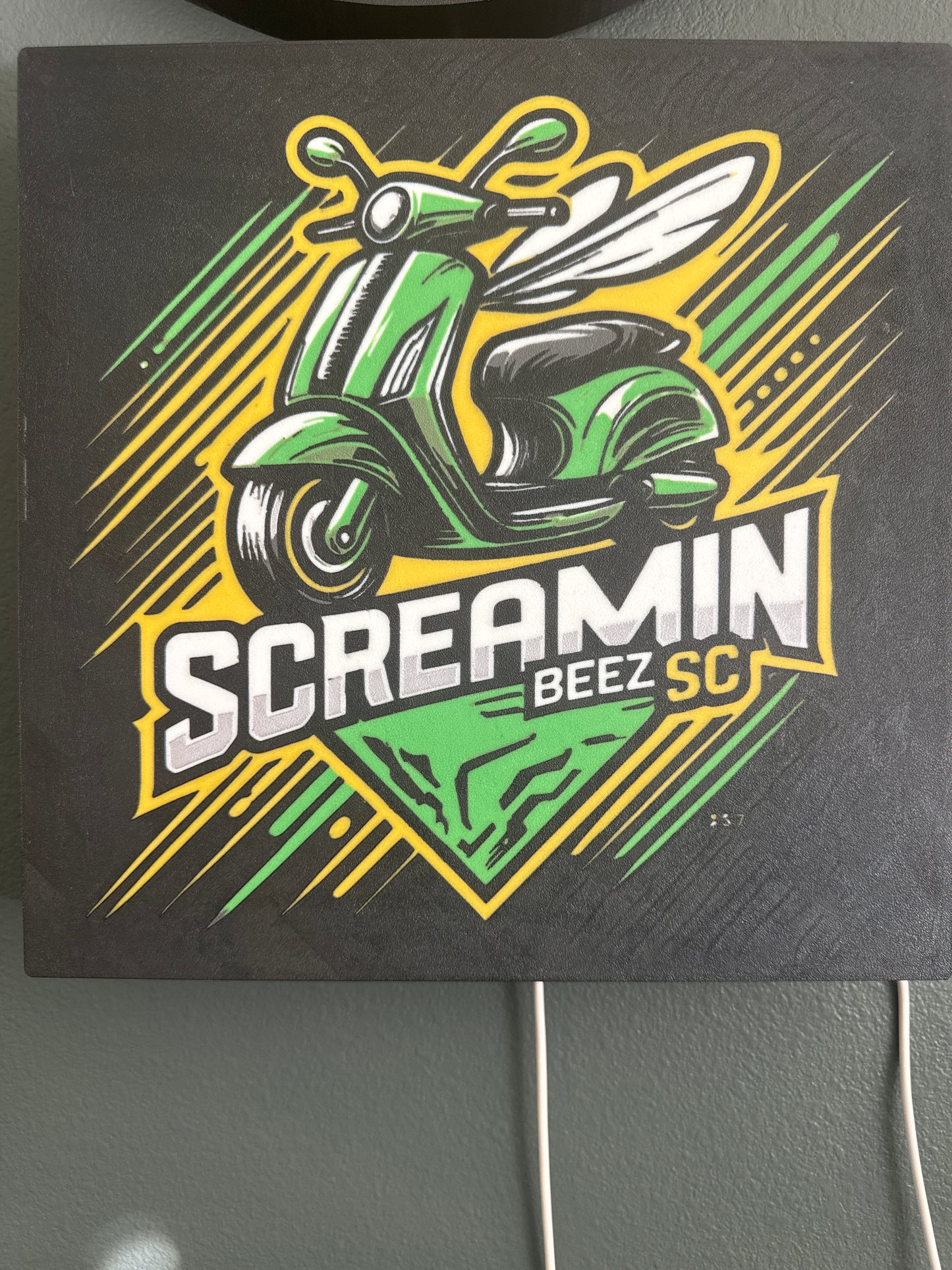 SCREAMIN BEEZ Flying Scooter Box Light.