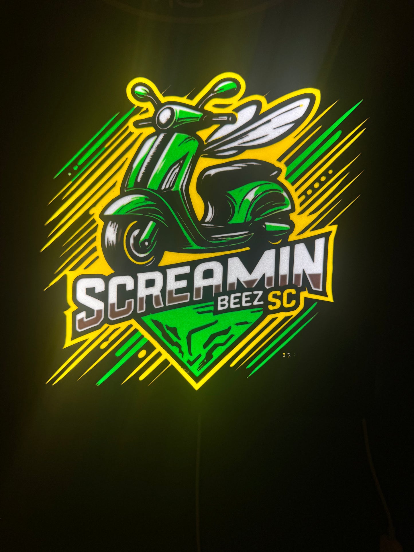 SCREAMIN BEEZ Flying Scooter Box Light.